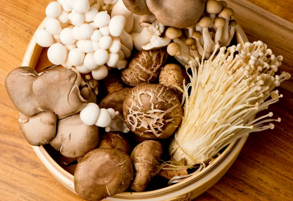 FORBES article on Functional Mushrooms